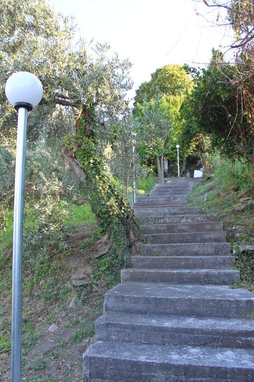 Villa Magnolia Χορευτό Εξωτερικό φωτογραφία